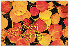 Best wishes for a wonderful Thanksgiving. Fallen Leaves Thanksgiving Postcard H1235P-B